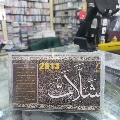 شيلات 2013